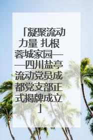 凝聚流动力量 扎根蓉城家园——四川盐亭流动党员成都党支部正式揭牌成立